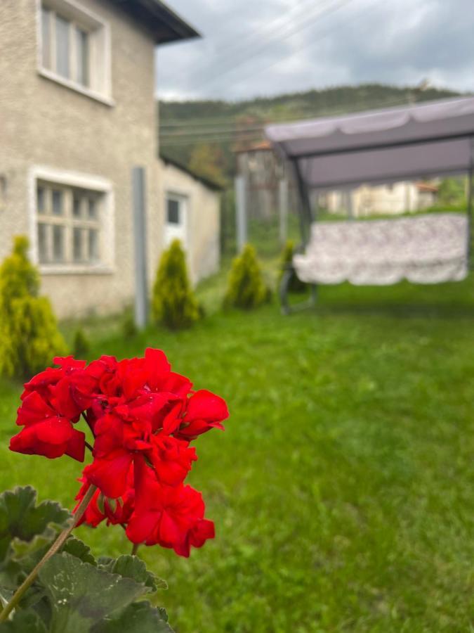 Къща За Гости "Домът На Краси" Yagodina Exterior foto