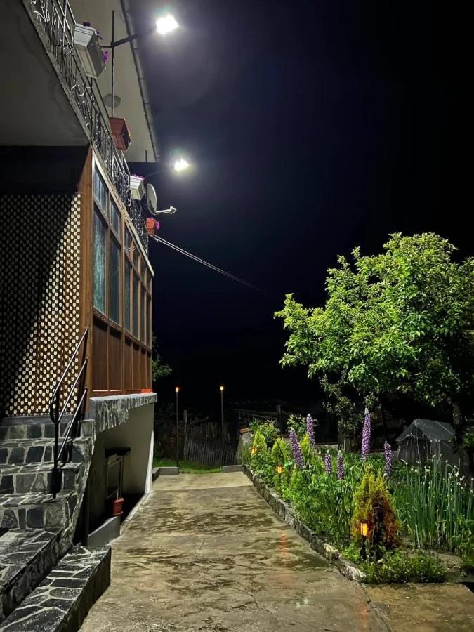 Къща За Гости "Домът На Краси" Yagodina Exterior foto